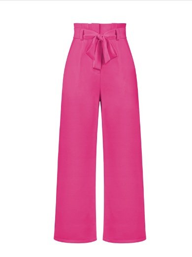 Damen Unifarben Lang Elastische Taille Hose Lässig Frühling/Herbst Hose