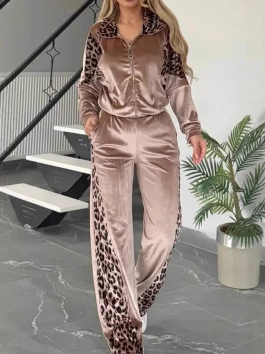 Damen Farbblock Print Zweiteiliges Set Täglich Langarm Lässig Frühling/Herbst Bluse mit Hose Matching Set
