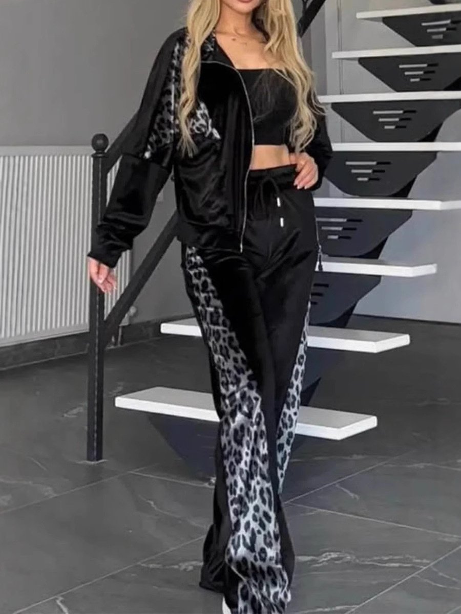 Damen Farbblock Print Zweiteiliges Set Täglich Langarm Lässig Frühling/Herbst Bluse mit Hose Matching Set