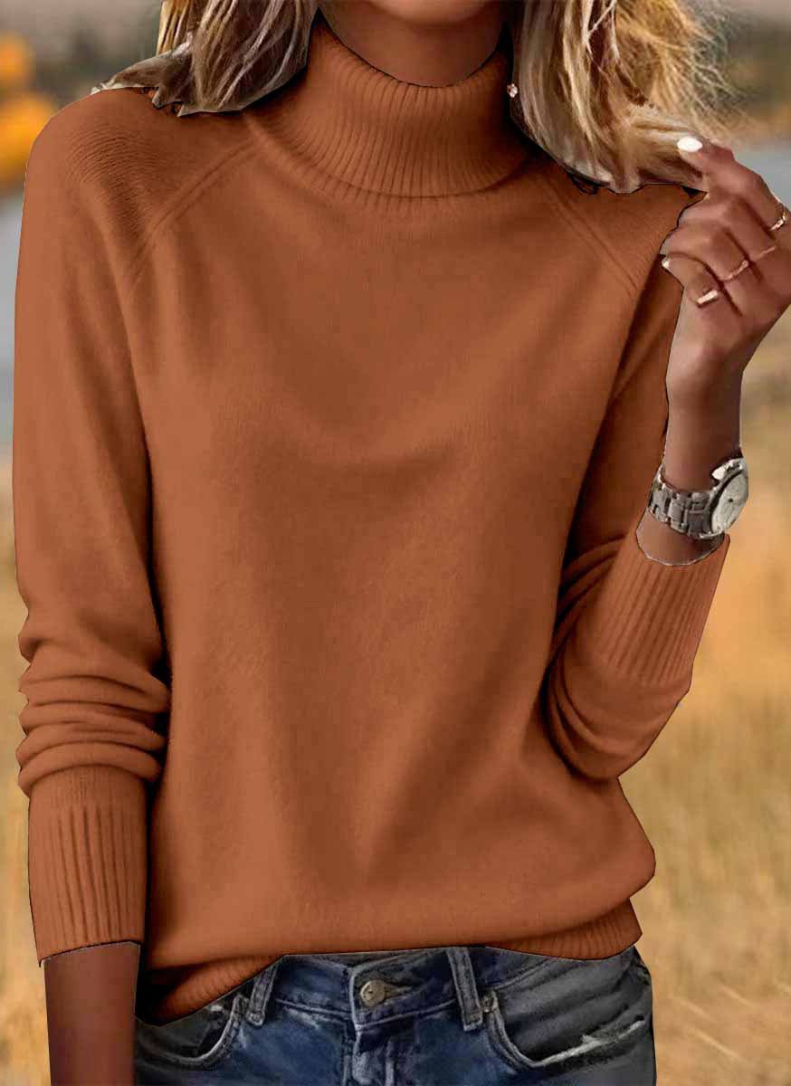 Damen Unifarben Frühling/Herbst Lässig Langarm Rollkragen Baumwolle Pullover