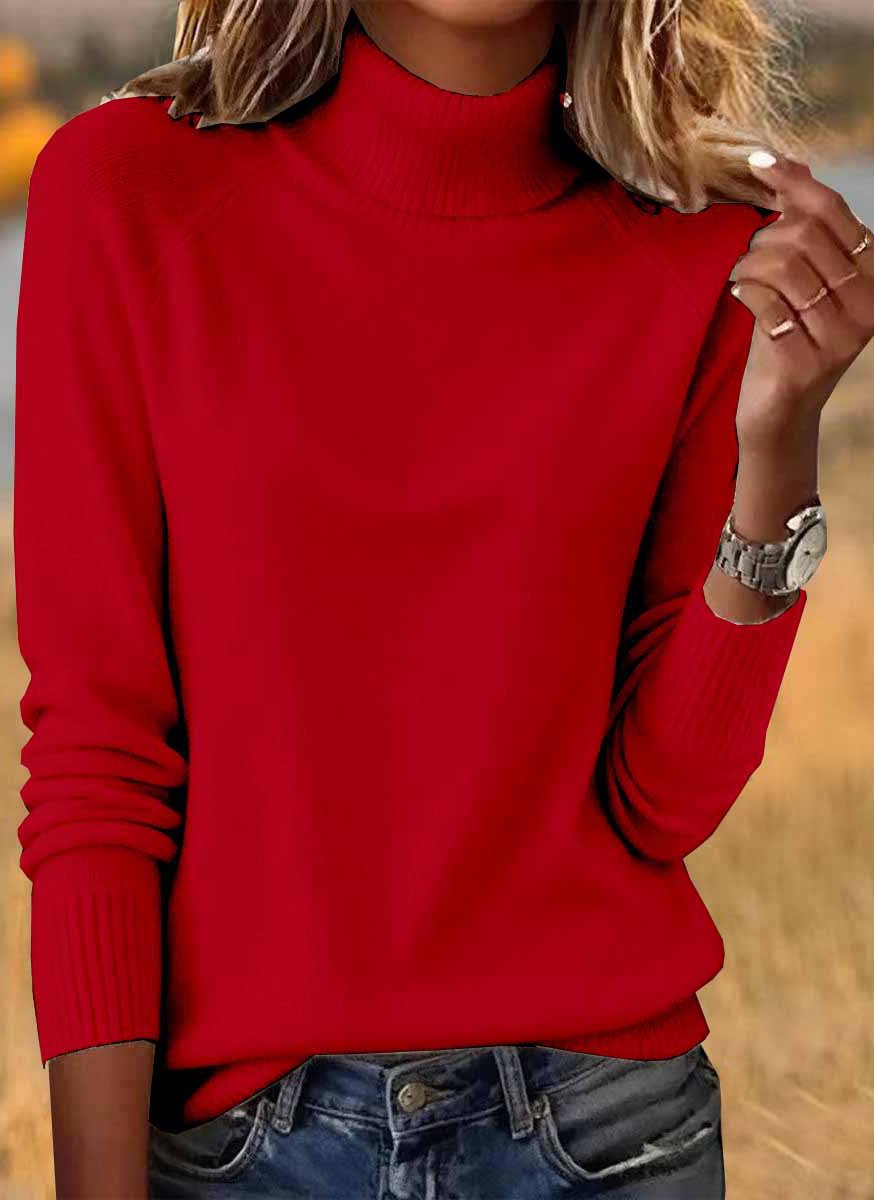 Damen Unifarben Frühling/Herbst Lässig Langarm Rollkragen Baumwolle Pullover