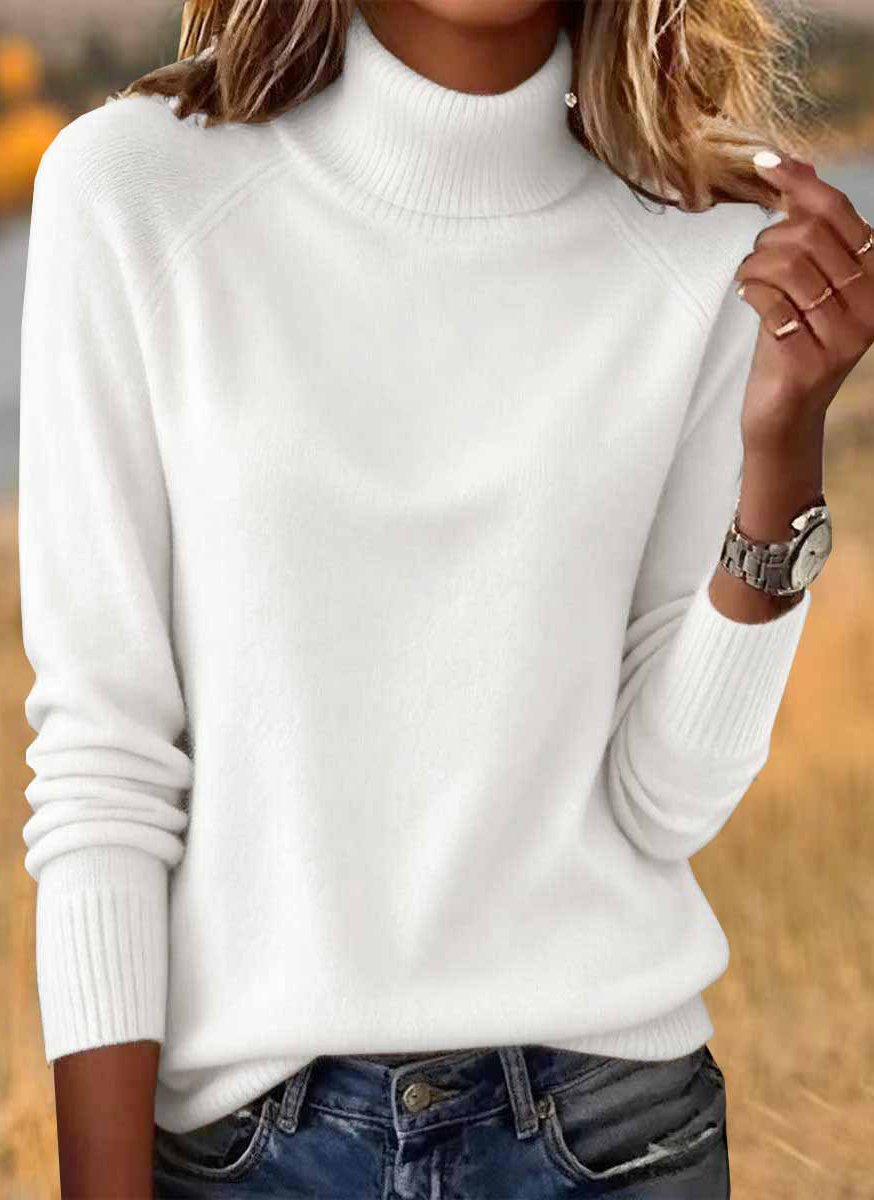 Damen Unifarben Frühling/Herbst Lässig Langarm Rollkragen Baumwolle Pullover