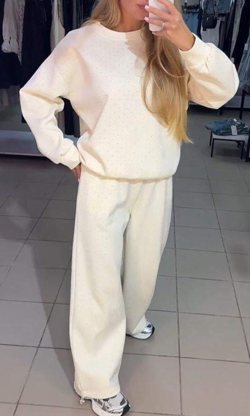 Damen Unifarben Nahtverarbeitung Zweiteiliges Set Täglich Langarm Lässig Frühling/Herbst Bluse mit Hose Matching Set