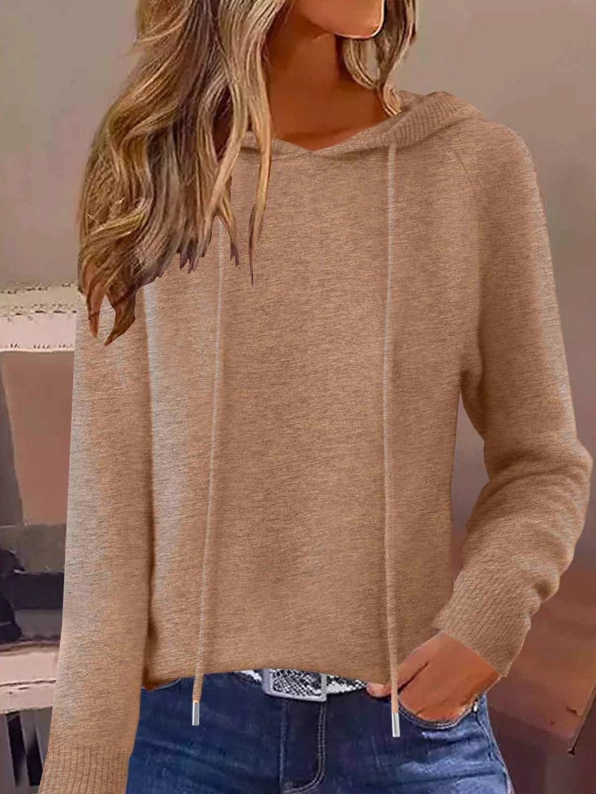 Damen Unifarben Nahtverarbeitung Winter Lässig Langarm Kapuze Pullover