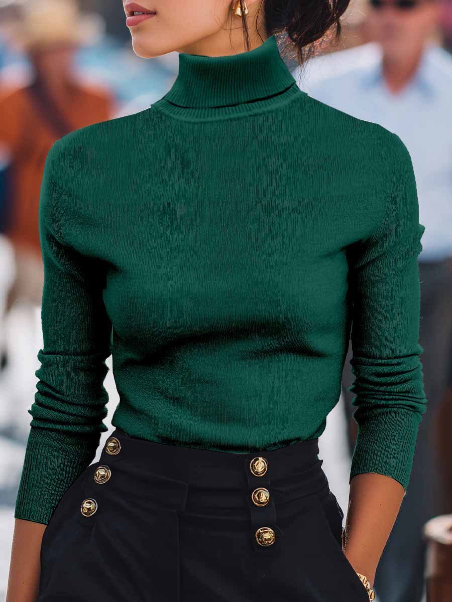 Damen Unifarben Nahtverarbeitung Frühling/Herbst Straße Langarm Rollkragen Pullover