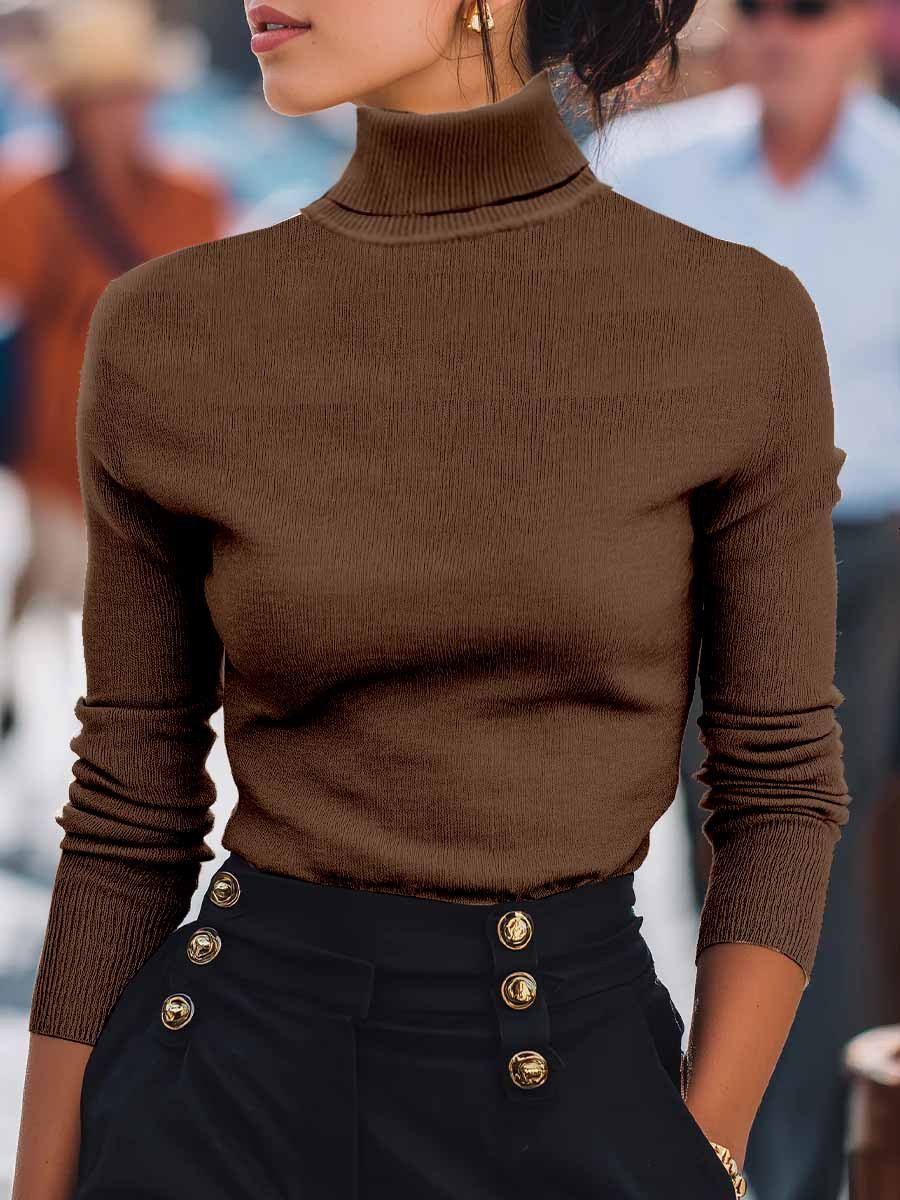 Damen Unifarben Nahtverarbeitung Frühling/Herbst Straße Langarm Rollkragen Pullover