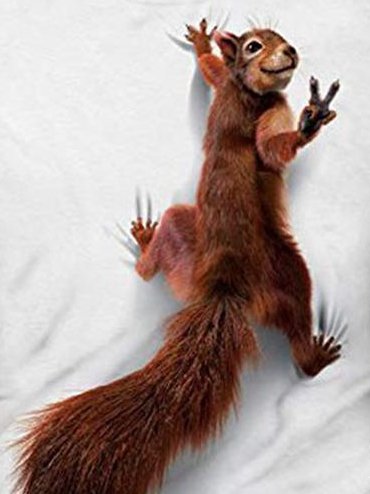 Lässig 3D Tier Eichhörnchen Muster Rundhals Kurzarm T-Shirt Täglich Kleidung für Herren