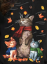 Süß Katze Knopf Rundhals Lässig Sweatshirt