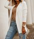 Damen Unifarben Frühling/Herbst Oberbekleidung Lässig Langarm Regelmäßig Blazer