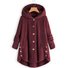 Damen Frühling/Herbst Oberbekleidung Lässig Unifarben Langarm Kapuze Jacke