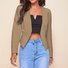Damen Unifarben Frühling/Herbst Oberbekleidung Lässig Reißverschluss Langarm Ernte Blazer
