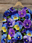 Damen Geblümt Rundhals Print Lässig Frühling/Herbst Langarm Sweatshirt