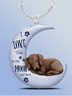 Englischer Alphabet Mond Hund Halskette